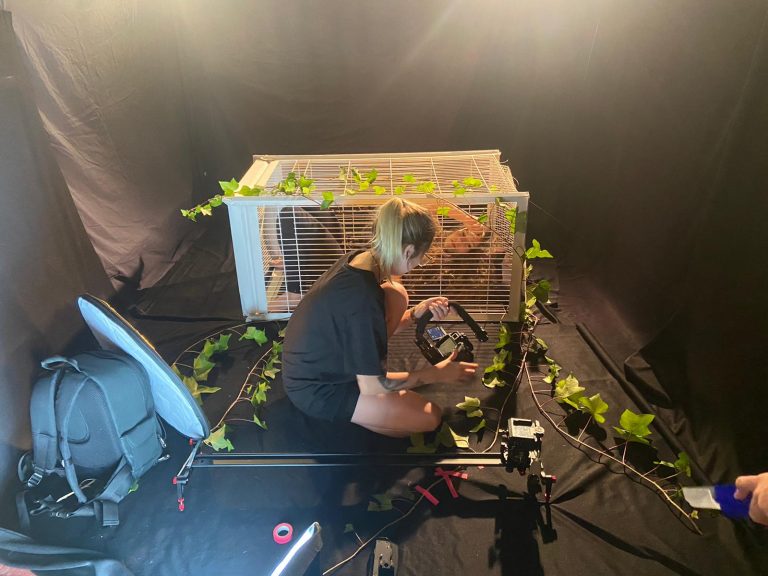 Imagen. Making of Axon y dendrita. Samantha B. Artista vegana creadora de contenido audiovisual